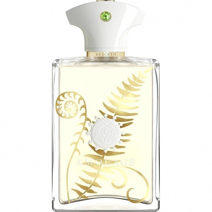 Amouage Bracken Man Eau de Parfum